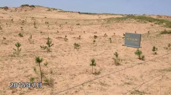 1560326152.jpg 20180701001.jpg