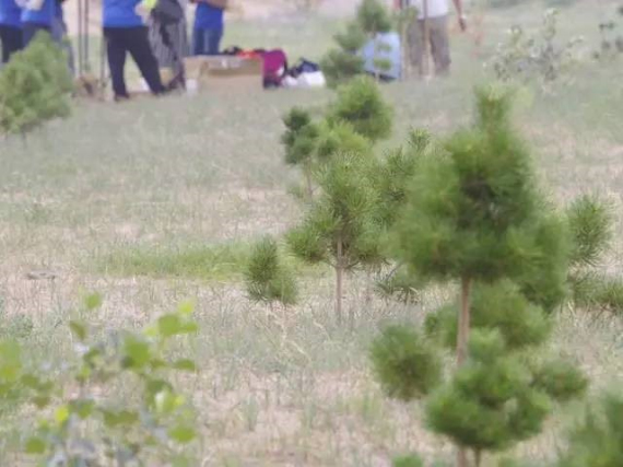 1560391919.jpg 20170704-002.jpg