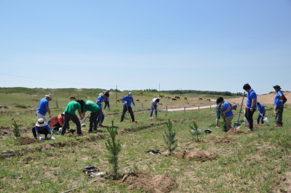 1560409489.jpg 4.jpg