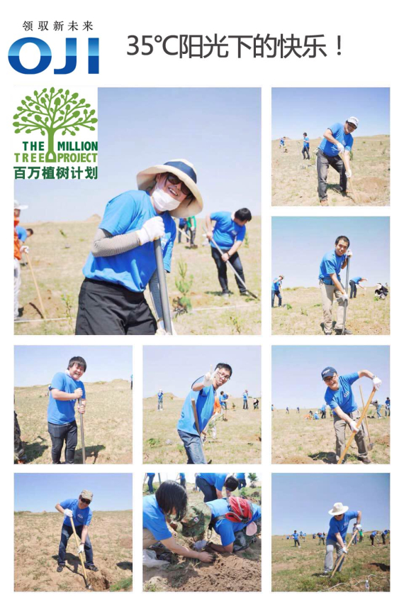 1560409499.jpg 5.jpg