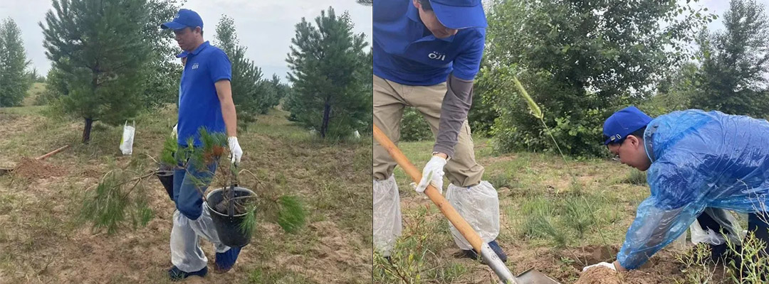 1719801400968731.jpg 1.jpg